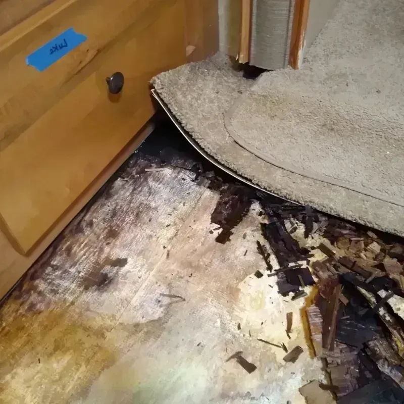 Wood Floor Water Damage in Clinton, MD